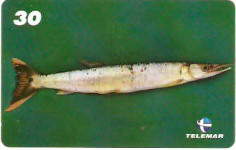 PA-548 - Peixes - 3/7