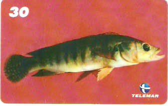 PA-549 - Peixes - 4/7