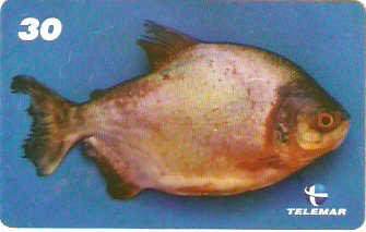 PA-550 - Peixes - 5/7