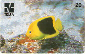 PB-003 - Xira Amarelo - B2