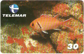 PB-028 - Mariquita