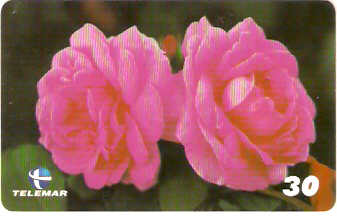 PB-064 - Flores - 14/15