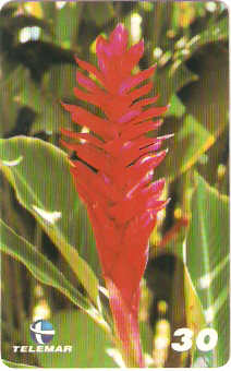 PE-306 - Flores - 3/5