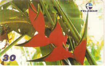 PE-307 - Flores - 4/5