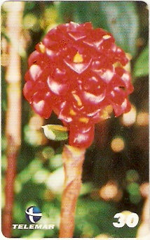 PE-592 - Flores - 3/6
