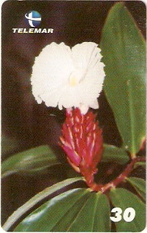 PE-593 - Flores - 4/6