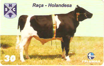 PE-698 - Raças Bovinas - 07/10