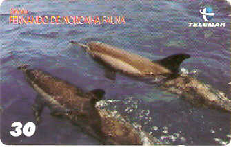 PE-838 - Fauna - 02/10
