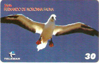 PE-841- Fauna - 05/10