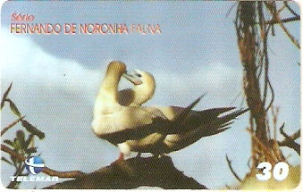 PE-842 - Fauna - 06/10