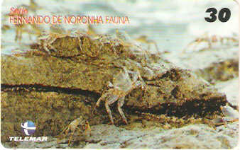 PE-846 - Fauna - 10/10