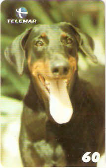 PE-856 - Doberman