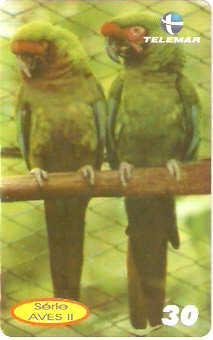 PE-876 - Aves 2 - 01/10