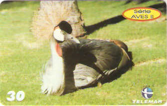 PE-878 - Aves 2 - 03/10