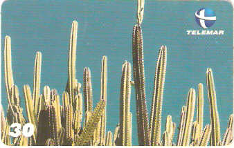 PI-224 - Mandacaru - I2