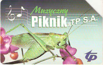 POL-1124 - Piknik