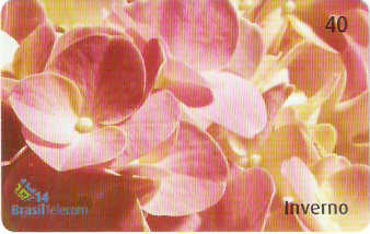 PRC03-105 - Inverno - 3/4