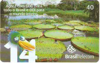 PRC04-011 - Ligue Ligue - 11/11