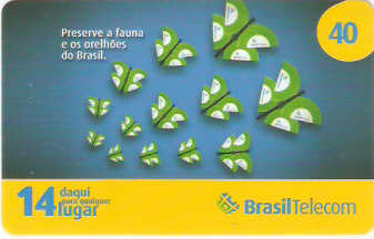 PRC07-34 - Borboletas