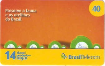 PRC07-37 - Tartarugas