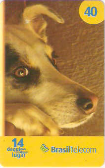 PRC07-70 - Cães - 1/2
