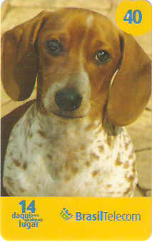 PRC07-71 - Cães - 2/2