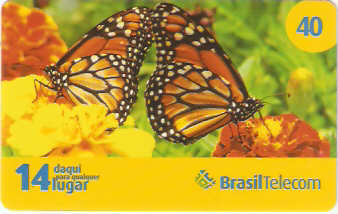 PRC08-012 - Borboletas