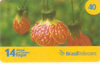 PRC08-092 - Primavera - 2