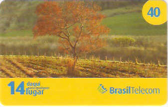 PRC09-16 - Outono - 2