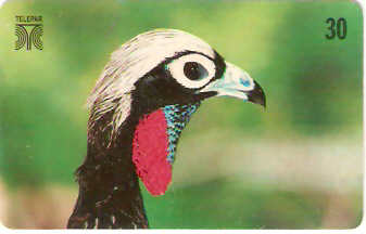 PR-194M - Aves - 10/14