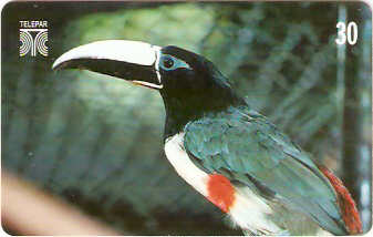 PR-212M - Aves - 13/14
