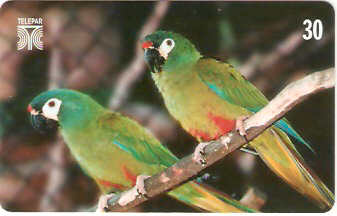 PR-213M - Aves - 14/14