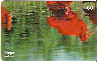 PR-377 - Parque das Aves - 03/13