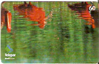 PR-378 - Parque das Aves - 04/13