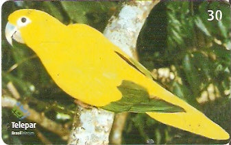PR-387 - Parque das Aves - 05/13