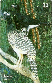 PR-388 - Parque das Aves - 06/13