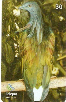 PR-389 - Parque das Aves - 07/13