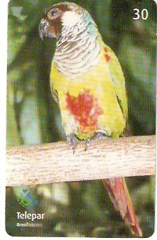 PR-412 - Parque das Aves - 08/13