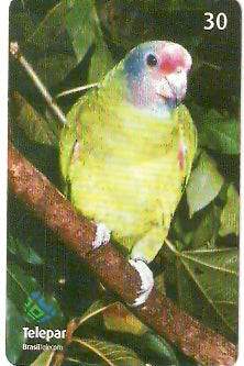 PR-417 - Parque das Aves - 13/13