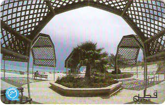 QTR-072 - Pátio e Palmeira