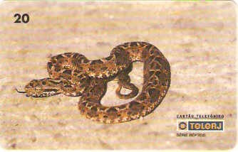 RJ-0217 - Répteis B2 - 3/4