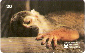 RJ-0087 - Meio Ambiente - B2 - 2/6