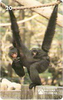 RJ-0088 - Meio Ambiente - B2 - 3/6