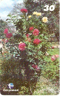 RJ-1080 - Primavera - 4/4