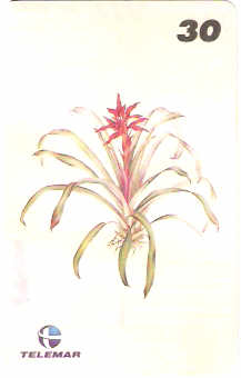 RJ-1212 - Ilustrações Botânicas - 03/16