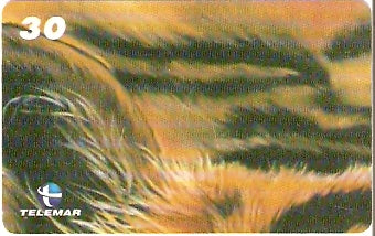 RJ-1322 - Tigre - 01/10