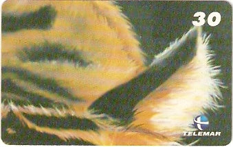 RJ-1323 - Tigre - 02/10