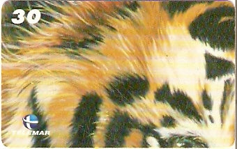 RJ-1324 - Tigre - 03/10