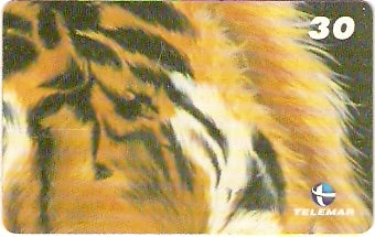 RJ-1325 - Tigre - 04/10