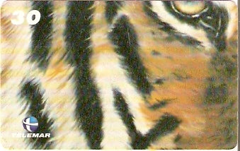 RJ-1326 - Tigre - 05/10